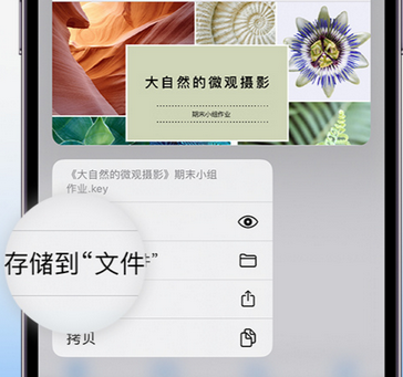 石景山apple维修中心分享iPhone文件应用中存储和找到下载文件