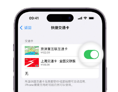 石景山apple维修点分享iPhone上更换Apple Pay快捷交通卡手绘卡面 