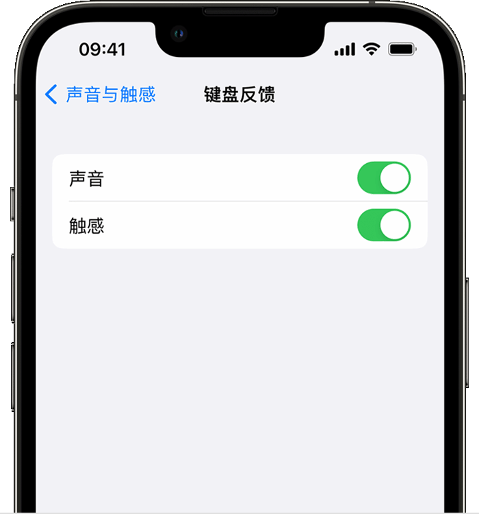 石景山苹果14维修店分享如何在 iPhone 14 机型中使用触感键盘 