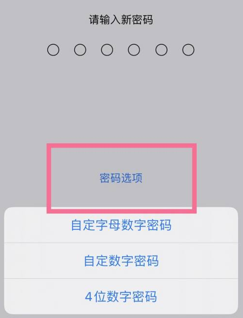 石景山苹果14维修分享iPhone 14plus设置密码的方法 